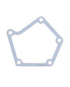 Accelerator Drive Support Gasket Genuine Pai 131941