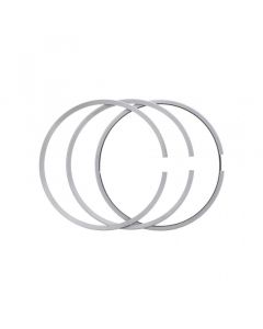 Piston Ring Set Genuine Pai 305073